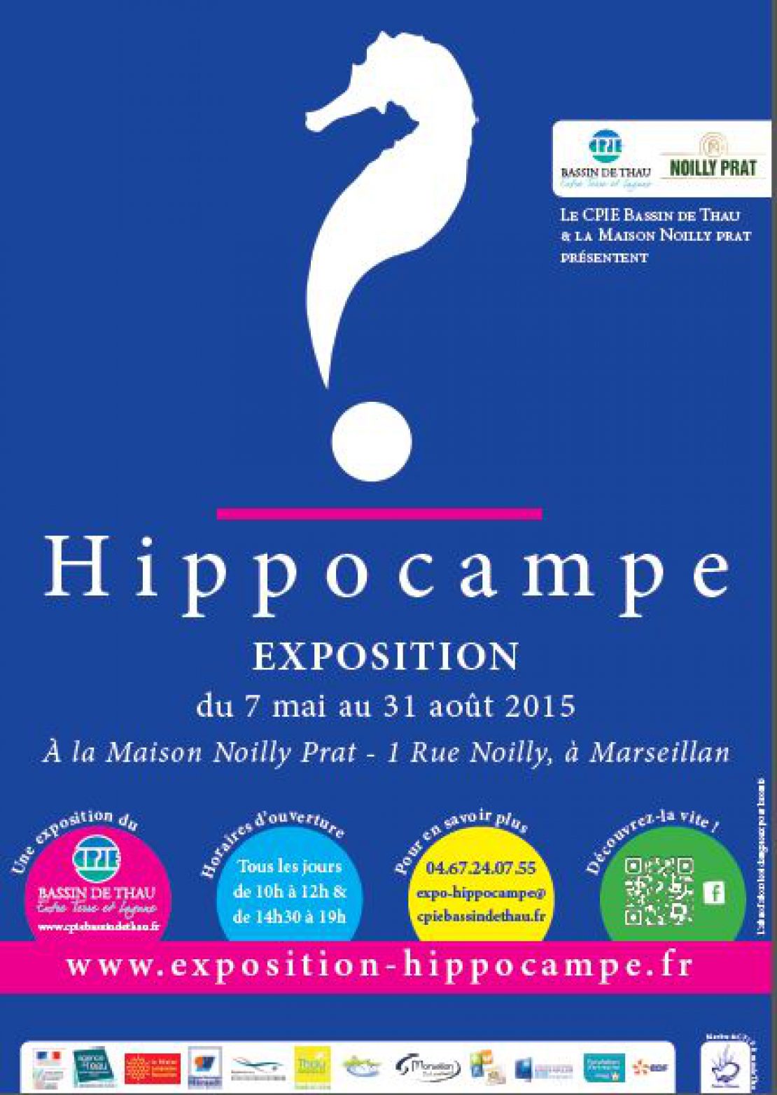 Visuel Exposition Hippocampe &#8211; Du 7 mai au 31 août