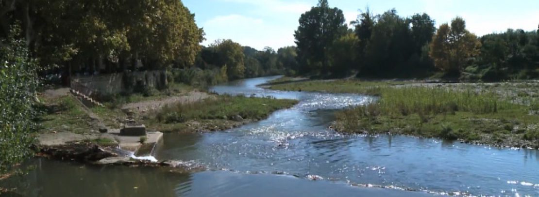 Visuel Valorisation et nettoyage des berges du Vidourle