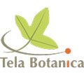 Tela botanica