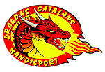 Les dragons Handi rugby