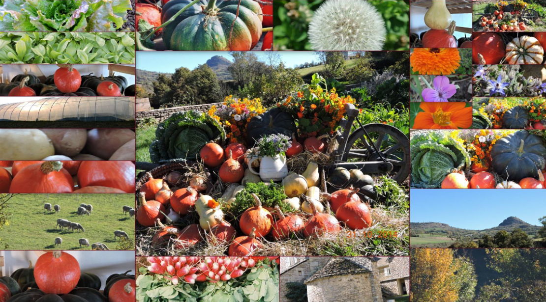 Jardin de CocagneLozère – Fondation d'entreprise Banque Populaire du Sud