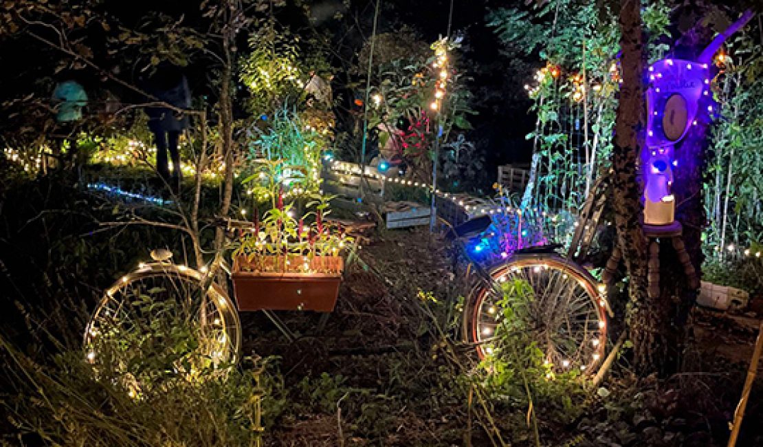 Visuel Lumina Botanica, une balade nocturne